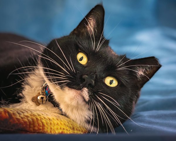 Ultimate Guide to the Best Lightweight Fabrics for Summer Blazers in the UK Climate